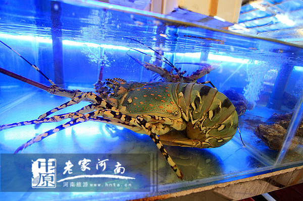 沙巴蜜月七日游推荐,完美假期泰国游青春版