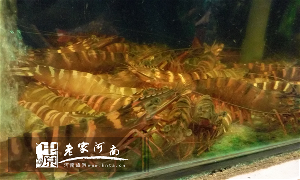 沙巴蜜月七日游推荐,完美假期泰国游青春版