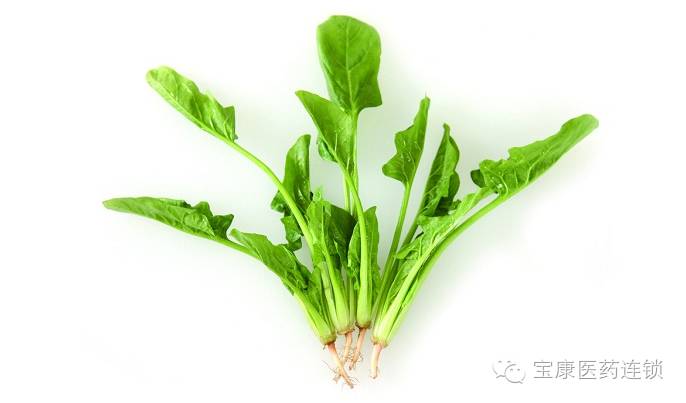 阴虚气血不够用什么食物补来得快,女性脾胃虚弱气血不够吃什么食物