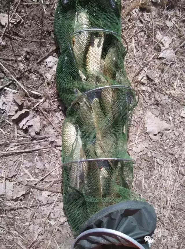 一入钓鱼深似海,一入黑坑