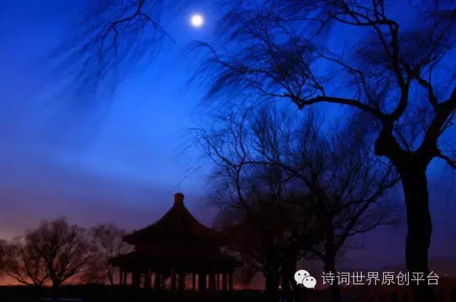 花影古诗原文,花影古诗下一首