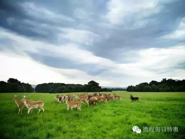 上海一套房子承包几座岛 (买一个有人居住的岛要多少钱)