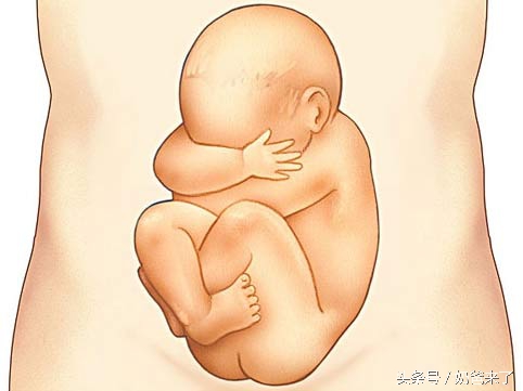 怀孕六个半月宝宝胎动,宝宝胎动频繁说明什么