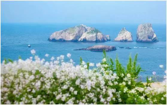 福鼎嵛山岛游玩朋友圈,渔山列岛打卡