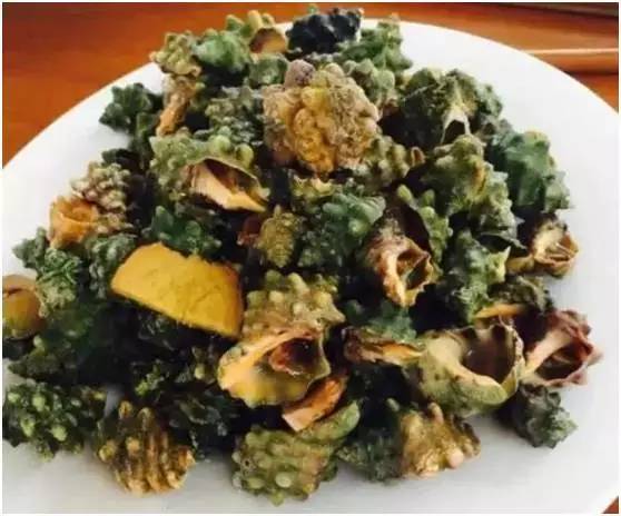 福鼎嵛山岛游玩朋友圈,渔山列岛打卡