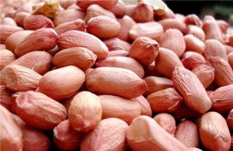 食用花生皮最好的方法,花生皮营养