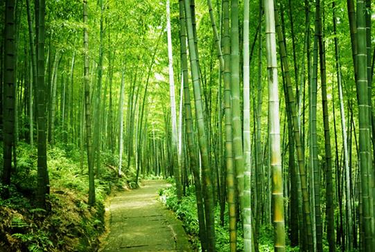 跟着电影去旅行日本,跟着电影去旅行推荐