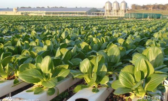 农民工失业了不知道该咋办？看看这篇文章你就明白了！