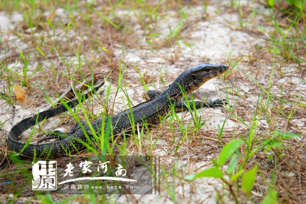 沙巴蜜月七日游推荐,完美假期泰国游青春版
