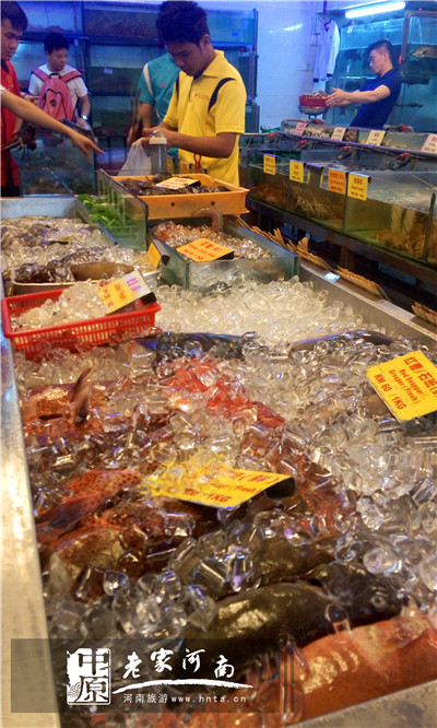 沙巴蜜月七日游推荐,完美假期泰国游青春版