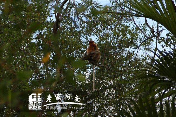 沙巴蜜月七日游推荐,完美假期泰国游青春版