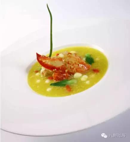 人气直追小龙虾的加拿大龙虾，关于它的干货都在这里