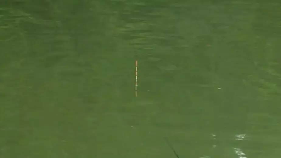 俄钓4新手入门教程,新手最容易上手的钓法