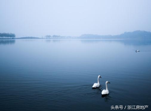 于五云山麓的时光丛林里，见证美庐公馆的西湖印刻