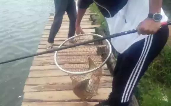 娓旇幏閽撻奔,娓旇幏鎴樻姤