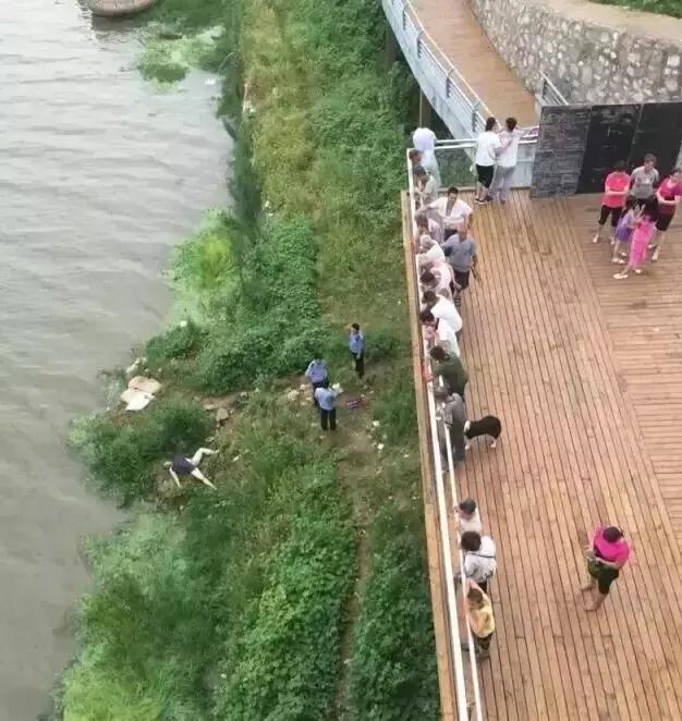 南阳最近溺水伤亡事件,南阳近17天溺水事故有几起