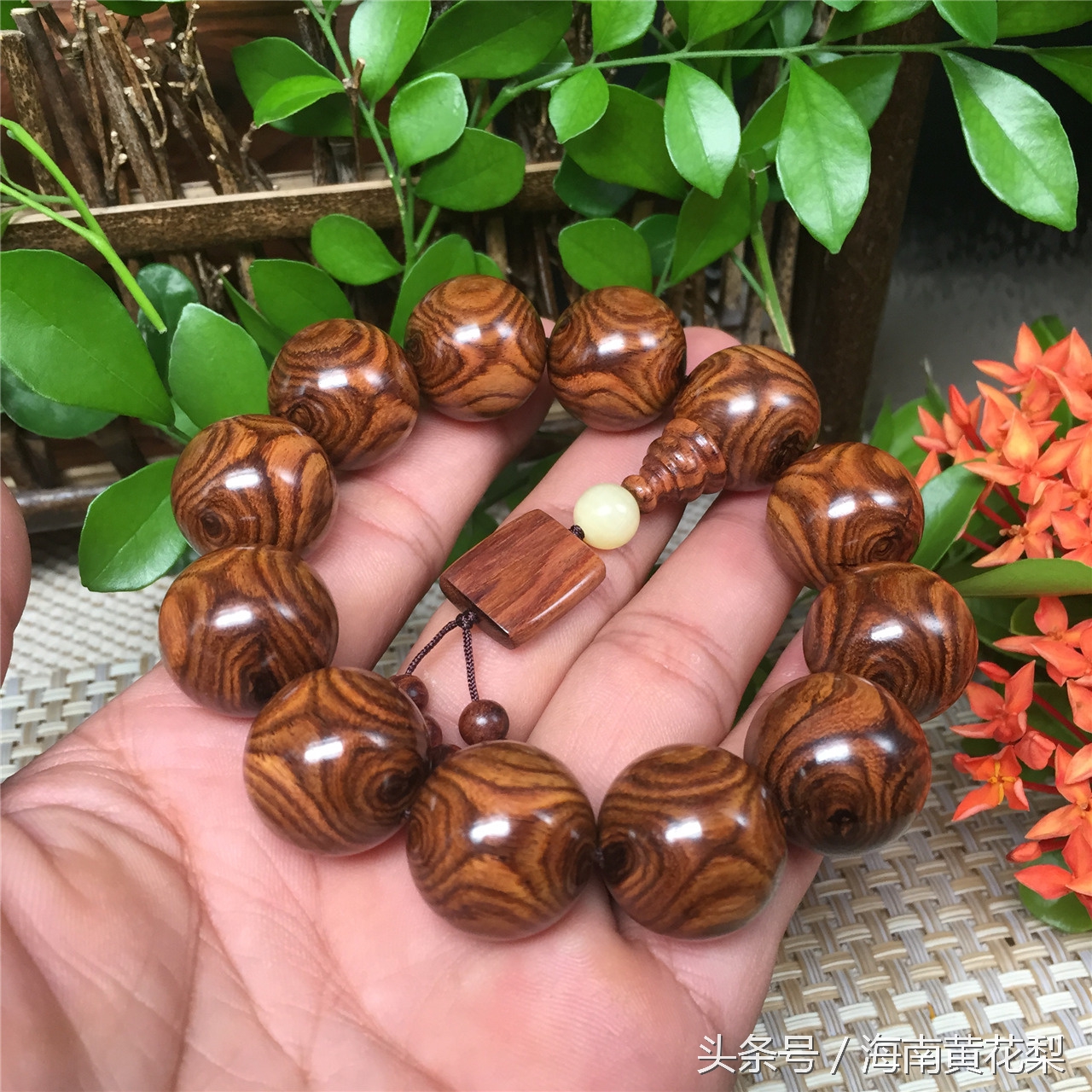 海南黄花梨老料欣赏,海南黄花梨老料还有多少