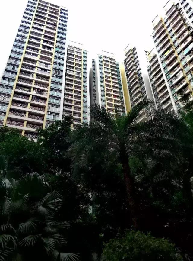 华成变华阳学位有盘暴涨400万（实探天河北10盘涨价虚实）