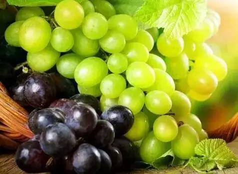 气血足面色白皙红润,气血不够吃什么食物能补足