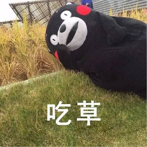 放弃吧少女，吃再多保健品也不会让你变美