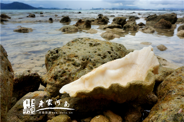 沙巴蜜月七日游推荐,完美假期泰国游青春版