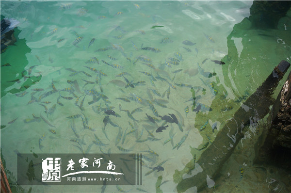 沙巴蜜月七日游推荐,完美假期泰国游青春版