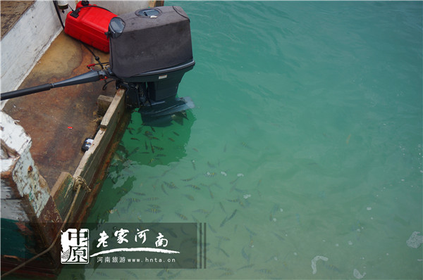 沙巴蜜月七日游推荐,完美假期泰国游青春版