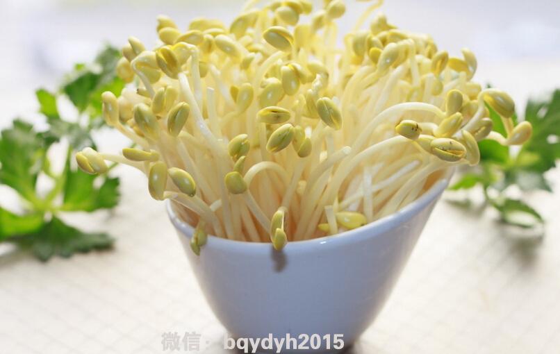 母婴健康（三）准爸爸一定要监督准妈妈哦！孕前必做的11件事！