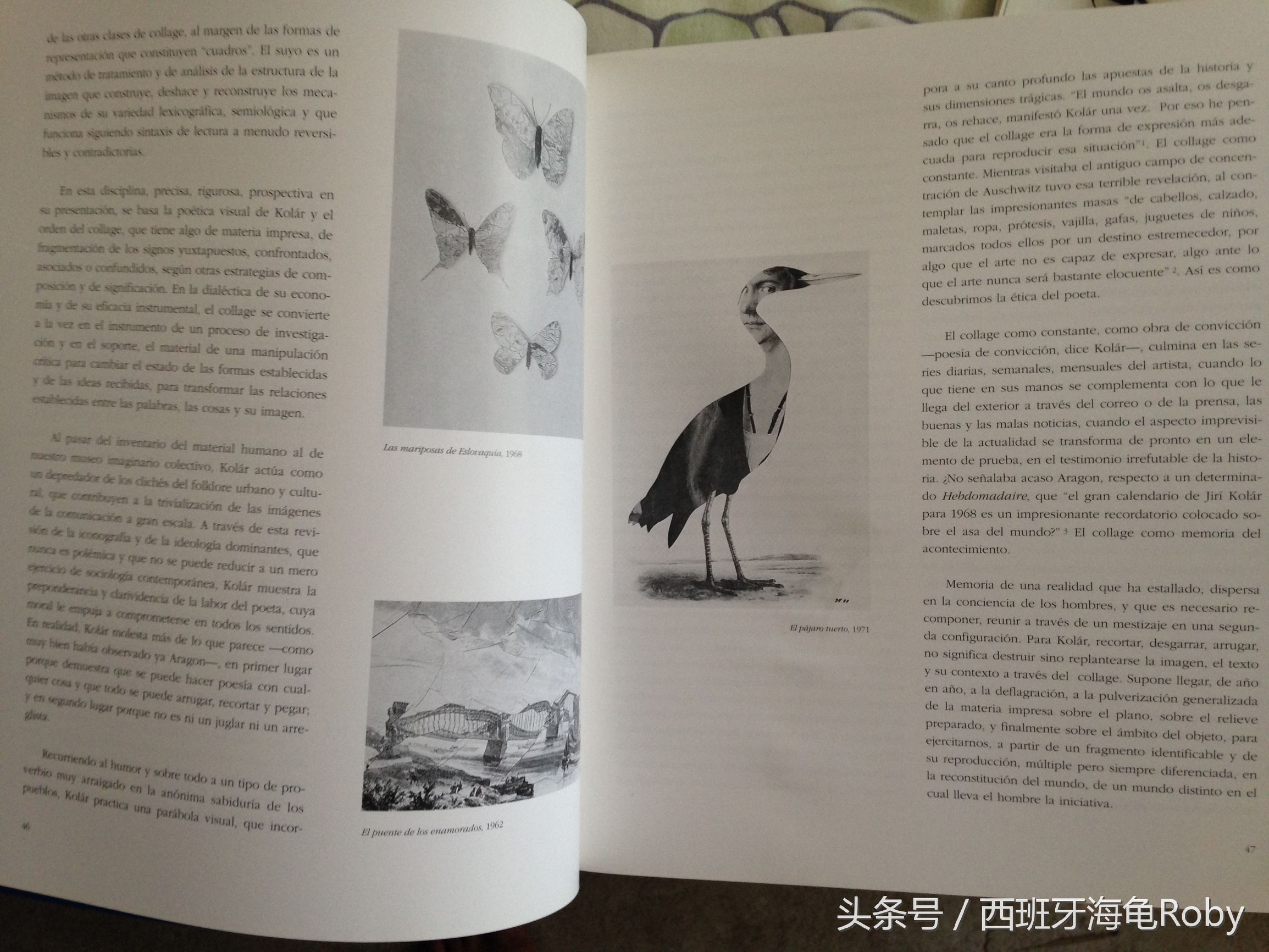 西语速记方法,西语中的卷舌音怎么发音