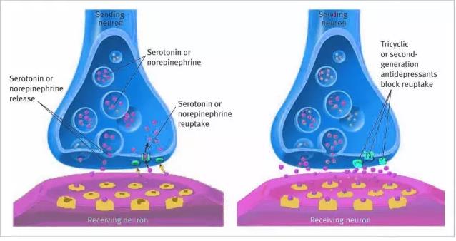 为什么吃抗抑郁药物会变好,抗抑郁药物没有效果是为什么