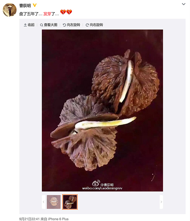 水里发现千年阴沉木,大水真的冲了龙王庙了吗