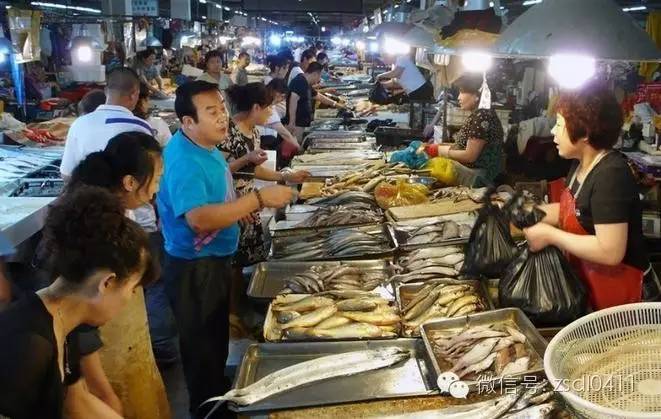 等我老了，就在大连这样过|终极版