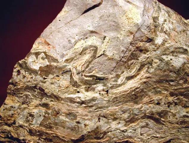 常见的岩石矿物标本图集名称,常见岩浆岩识别记录表