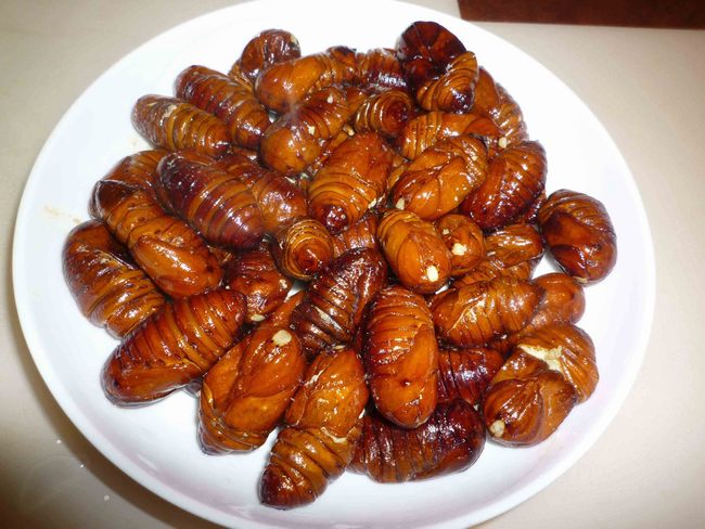 舌尖上的昆虫完整视频,舌尖上的昆虫