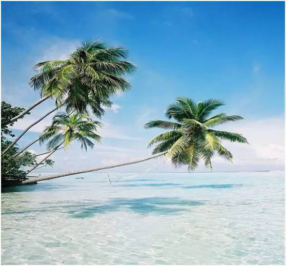 福鼎嵛山岛游玩朋友圈,渔山列岛打卡