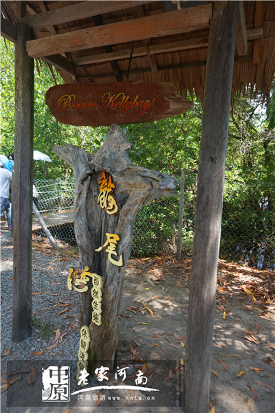 沙巴蜜月七日游推荐,完美假期泰国游青春版