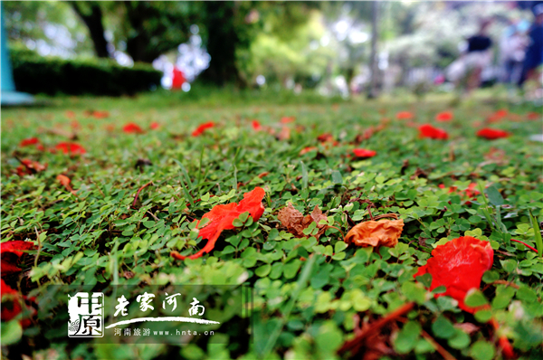 沙巴蜜月七日游推荐,完美假期泰国游青春版