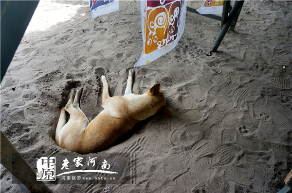 沙巴蜜月七日游推荐,完美假期泰国游青春版