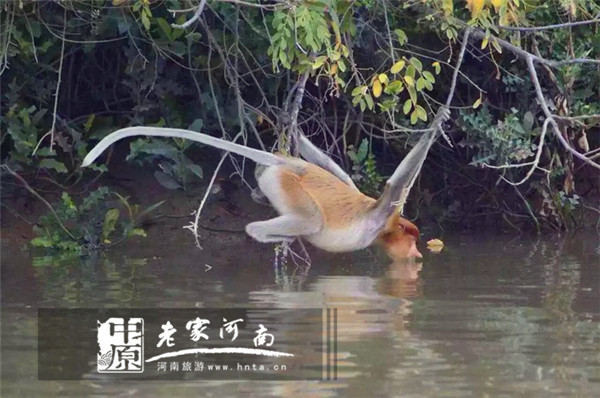 沙巴蜜月七日游推荐,完美假期泰国游青春版