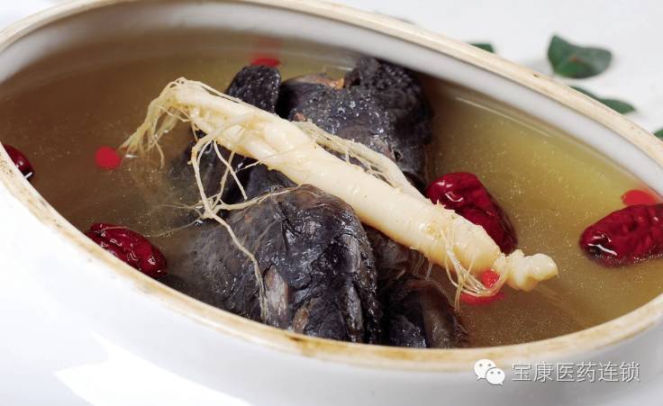 阴虚气血不够用什么食物补来得快,女性脾胃虚弱气血不够吃什么食物