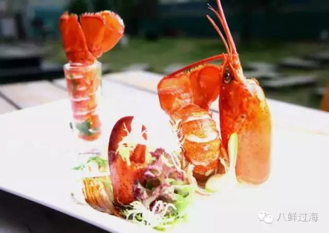 人气直追小龙虾的加拿大龙虾，关于它的干货都在这里