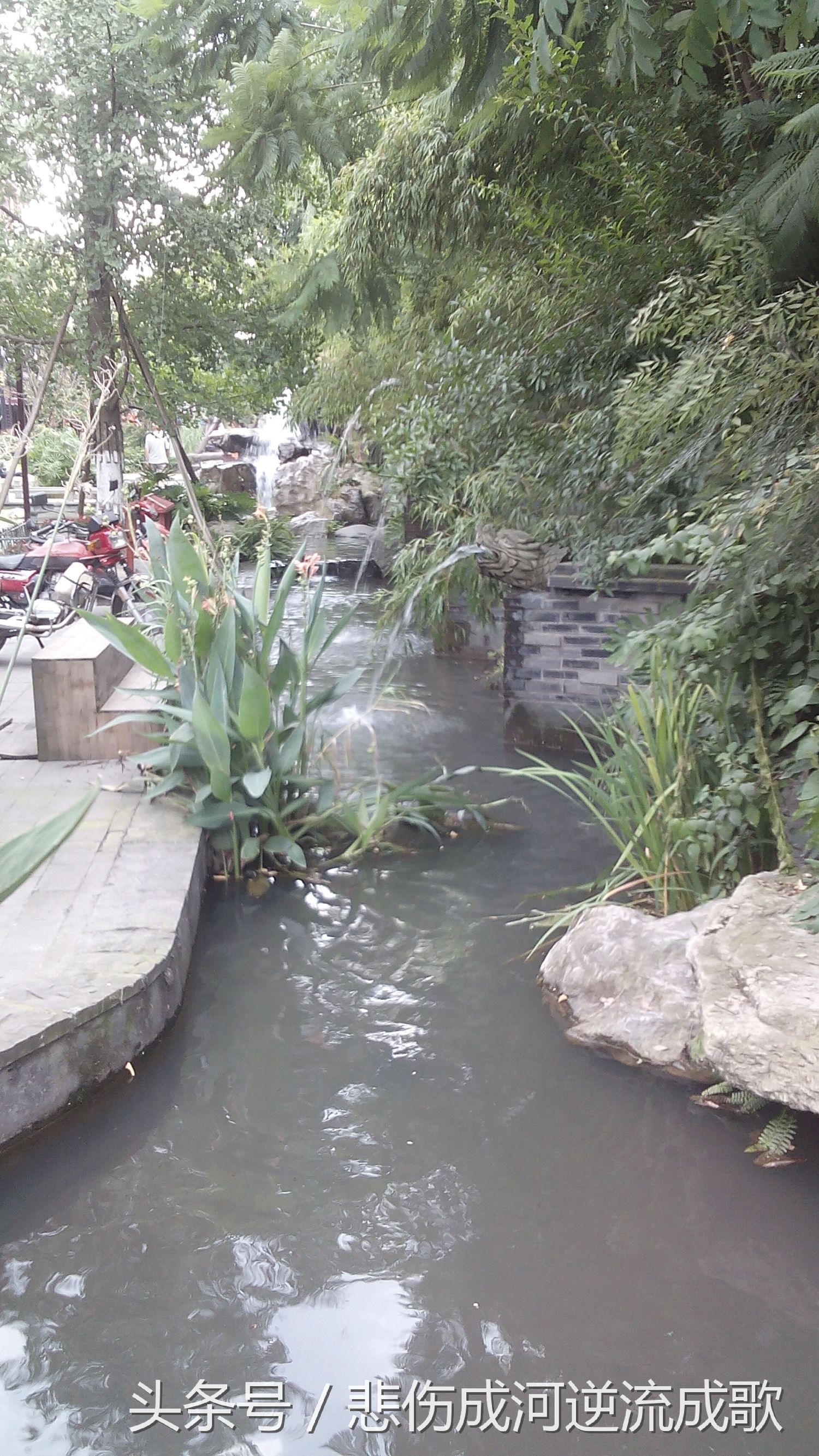 醉美水乡三道堰,水乡三道堰