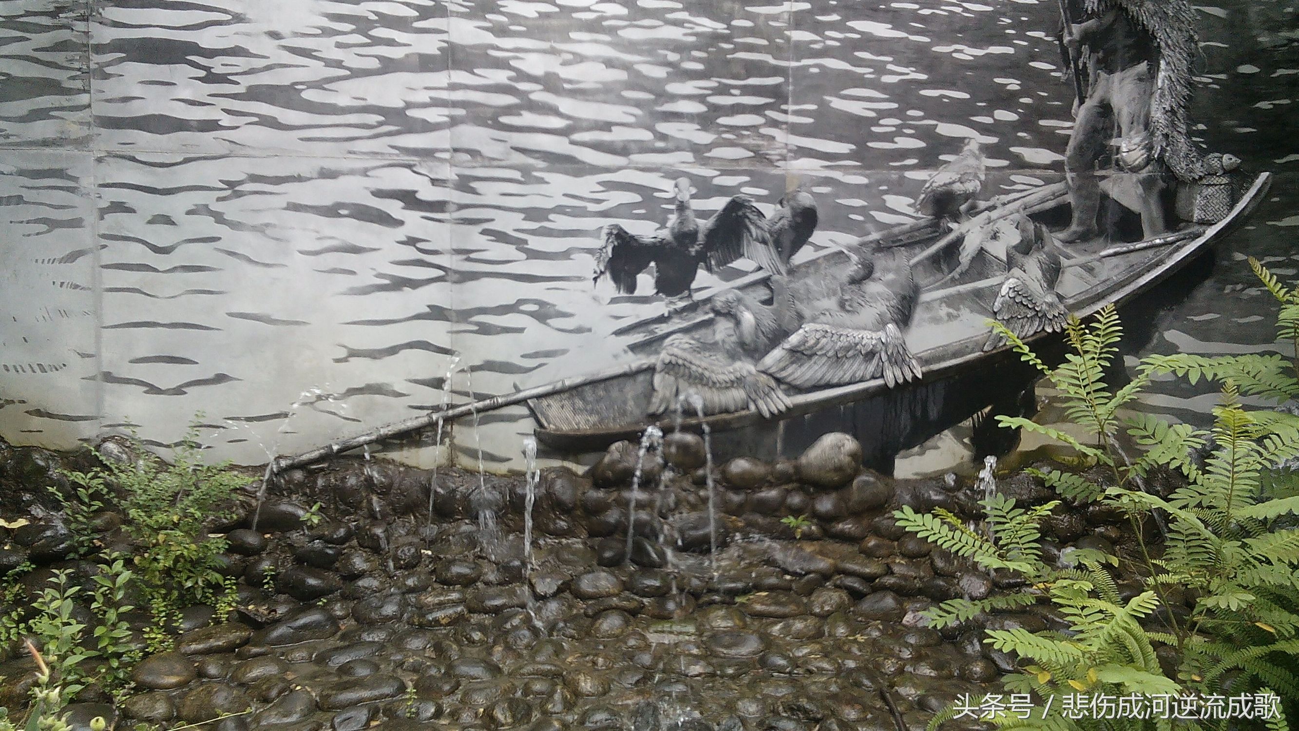 醉美水乡三道堰,水乡三道堰