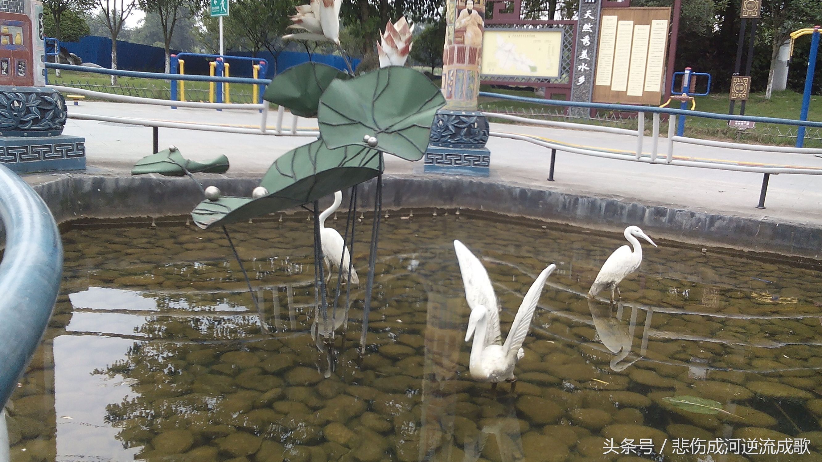 醉美水乡三道堰,水乡三道堰