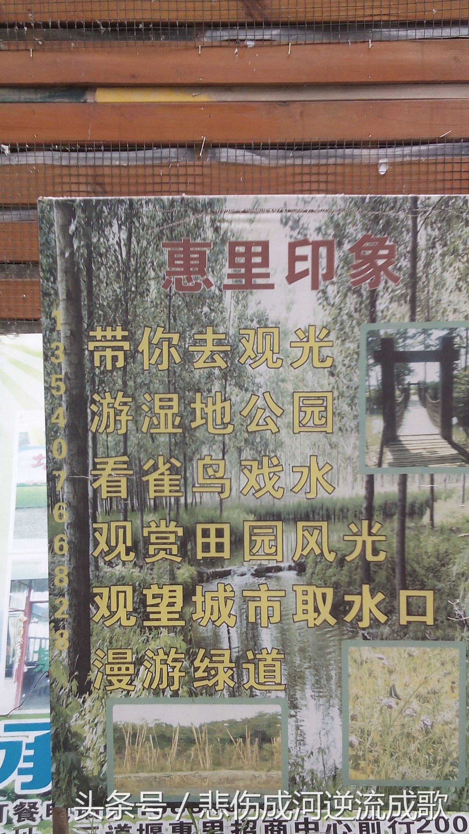 醉美水乡三道堰,水乡三道堰