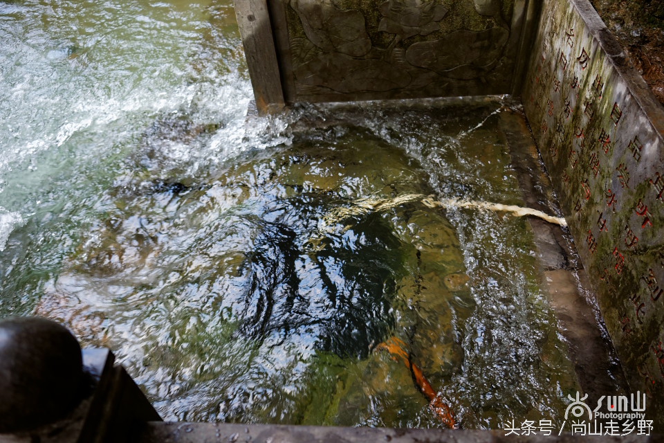 济南一处会打呼噜的泉，现鼾声正响，欢畅入耳，让人赞叹！