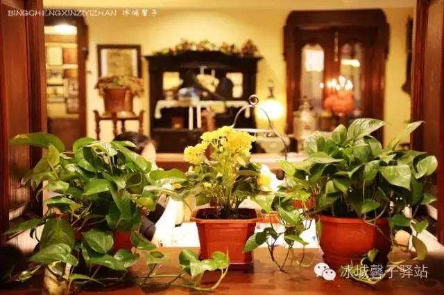 哈尔滨第一家西餐厅塔道斯,塔道斯西餐厅什么好吃