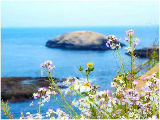 福鼎嵛山岛游玩朋友圈,渔山列岛打卡