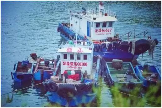 福鼎嵛山岛游玩朋友圈,渔山列岛打卡