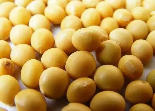 气血足面色白皙红润,气血不够吃什么食物能补足